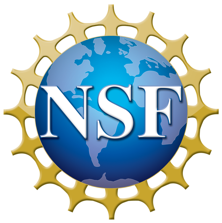 National Science Foundation Logo